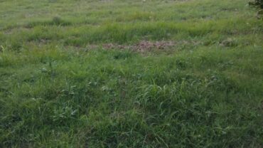 Residential Plot (Sec-106) – SOLD